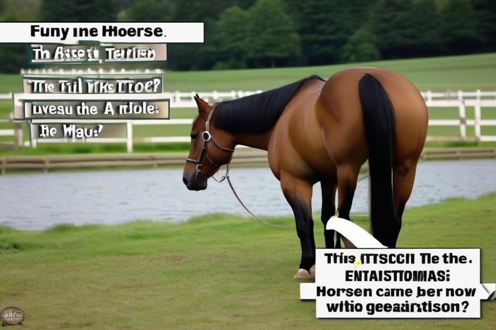 funny-horse-memes