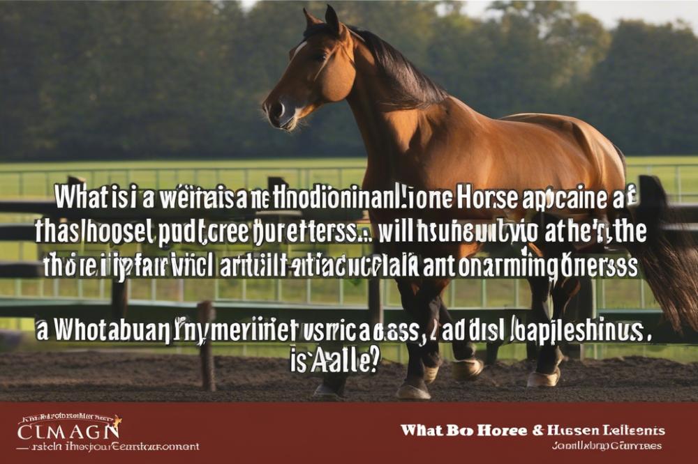 what-is-a-husband-horse